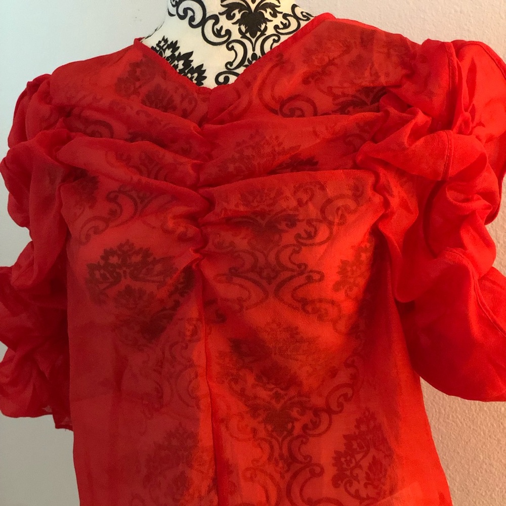 Red Sheer Top